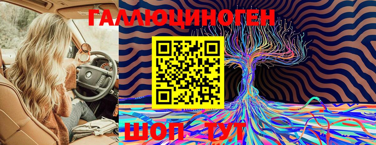 Псилоцибиновые грибы Psilocybine cubensis  Вход с VPN  Липецк 
